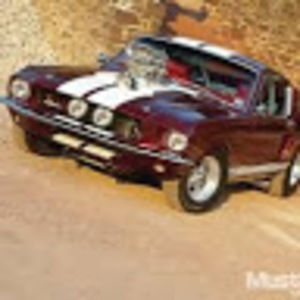 Meet your Posher, Tracey